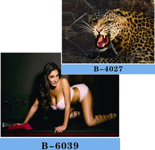 3d girls pictures,3d girl photos,naked 3d girls,3d sexy girl poster